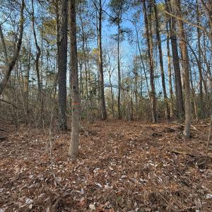 Photo #6 of Off NC 410 Hwy, Bladenboro, NC 14.5 acres