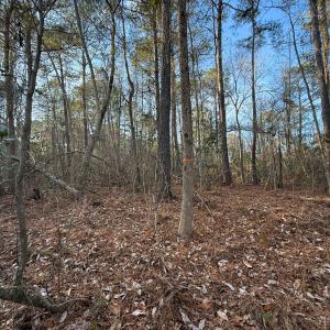 Photo #7 of Off NC 410 Hwy, Bladenboro, NC 14.5 acres