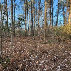 Photo #8 of Off NC 410 Hwy, Bladenboro, NC 14.5 acres