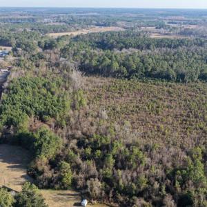 Photo #9 of Off NC 410 Hwy, Bladenboro, NC 14.5 acres