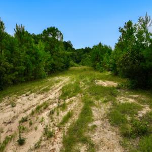 Photo #7 of Off  US 64 Bypass, Tarboro, NC 45.0 acres