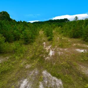 Photo #11 of Off  US 64 Bypass, Tarboro, NC 45.0 acres