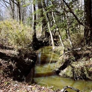 Photo #12 of Off  US 64 Bypass, Tarboro, NC 45.0 acres