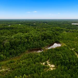 Photo #1 of Off  US 64 Bypass, Tarboro, NC 45.0 acres