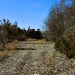 Photo #22 of Off  US 64 Bypass, Tarboro, NC 45.0 acres