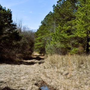 Photo #23 of Off  US 64 Bypass, Tarboro, NC 45.0 acres