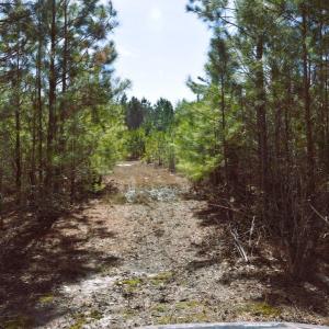 Photo #25 of Off  US 64 Bypass, Tarboro, NC 45.0 acres