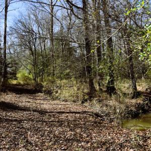 Photo #34 of Off  US 64 Bypass, Tarboro, NC 45.0 acres