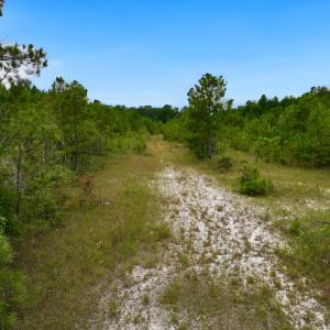 Photo #5 of Off  US 64 Bypass, Tarboro, NC 45.0 acres