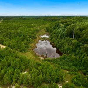 Photo #38 of Off  US 64 Bypass, Tarboro, NC 45.0 acres