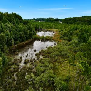 Photo #43 of Off  US 64 Bypass, Tarboro, NC 45.0 acres