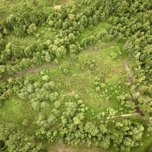 Photo #55 of Off  US 64 Bypass, Tarboro, NC 45.0 acres