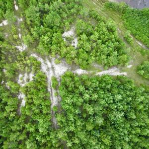 Photo #56 of Off  US 64 Bypass, Tarboro, NC 45.0 acres