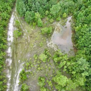 Photo #57 of Off  US 64 Bypass, Tarboro, NC 45.0 acres