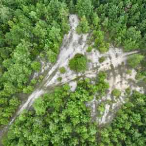 Photo #58 of Off  US 64 Bypass, Tarboro, NC 45.0 acres