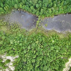 Photo #59 of Off  US 64 Bypass, Tarboro, NC 45.0 acres