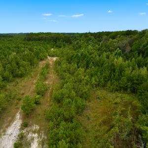 Photo #46 of Off  US 64 Bypass, Tarboro, NC 45.0 acres