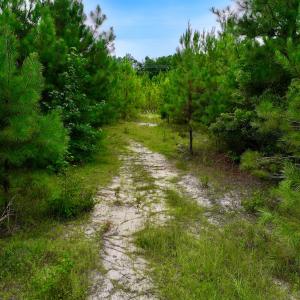 Photo #47 of Off  US 64 Bypass, Tarboro, NC 45.0 acres