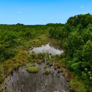 Photo #49 of Off  US 64 Bypass, Tarboro, NC 45.0 acres