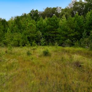 Photo #53 of Off  US 64 Bypass, Tarboro, NC 45.0 acres