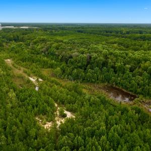 Photo #64 of Off  US 64 Bypass, Tarboro, NC 45.0 acres