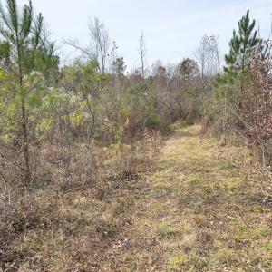 Photo #13 of Off Mann Oakley Road, Rougemont, NC 20.4 acres