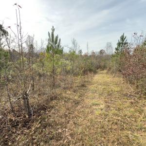 Photo #15 of Off Mann Oakley Road, Rougemont, NC 20.4 acres