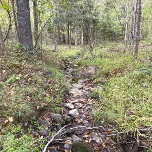 Photo #18 of Off Mann Oakley Road, Rougemont, NC 20.4 acres