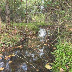 Photo #2 of Off Mann Oakley Road, Rougemont, NC 20.4 acres