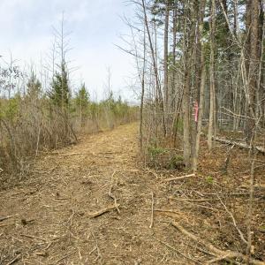 Photo #28 of Off Mann Oakley Road, Rougemont, NC 20.4 acres