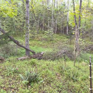 Photo #31 of Off Mann Oakley Road, Rougemont, NC 20.4 acres
