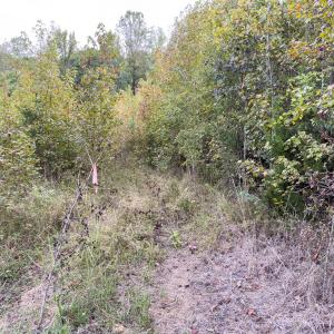 Photo #37 of Off Mann Oakley Road, Rougemont, NC 20.4 acres