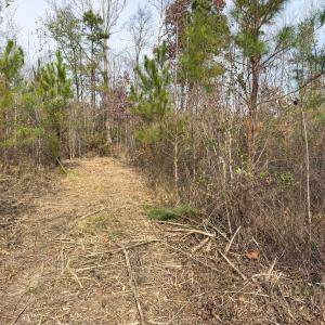 Photo #38 of Off Mann Oakley Road, Rougemont, NC 20.4 acres