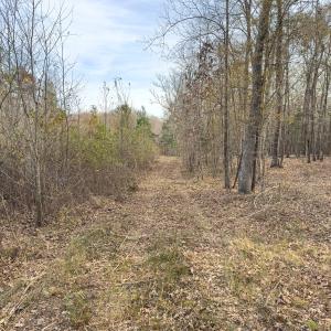 Photo #41 of Off Mann Oakley Road, Rougemont, NC 20.4 acres