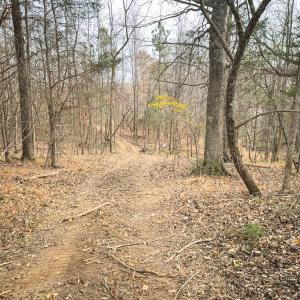 Photo #48 of Off Mann Oakley Road, Rougemont, NC 20.4 acres