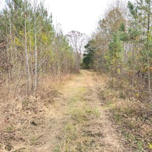 Photo #50 of Off Mann Oakley Road, Rougemont, NC 20.4 acres