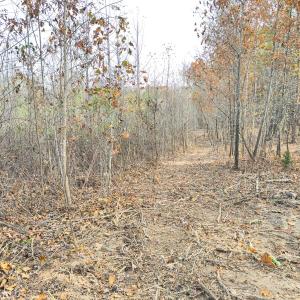 Photo #51 of Off Mann Oakley Road, Rougemont, NC 20.4 acres