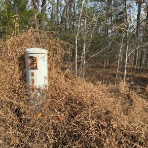 Photo #52 of Off Mann Oakley Road, Rougemont, NC 20.4 acres