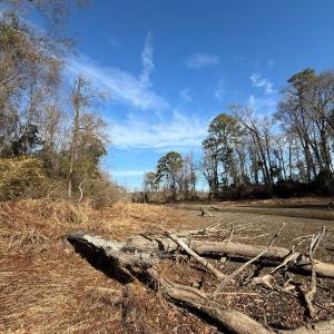 Photo #18 of Off  Euray Moore Road (Lot 1), Warsaw, NC 10.1 acres