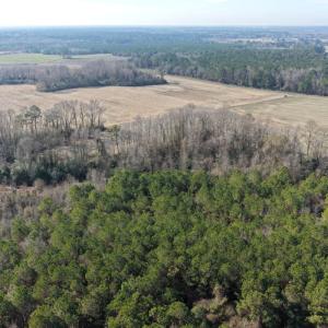 Photo #22 of Off  Euray Moore Road (Lot 1), Warsaw, NC 10.1 acres