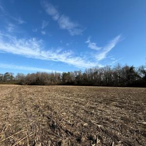 Photo #35 of Off  Euray Moore Road (Lot 1), Warsaw, NC 10.1 acres