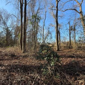 Photo #48 of Off  Euray Moore Road (Lot 1), Warsaw, NC 10.1 acres