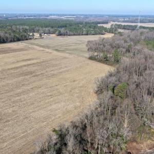 Photo #16 of Off Euray Moore Road (Lot 2), Warsaw, NC 10.1 acres