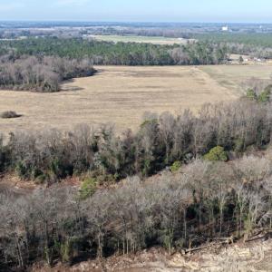 Photo #18 of Off Euray Moore Road (Lot 2), Warsaw, NC 10.1 acres