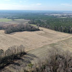 Photo #19 of Off Euray Moore Road (Lot 2), Warsaw, NC 10.1 acres