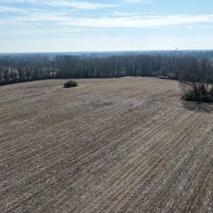 Photo #23 of Off Euray Moore Road (Lot 2), Warsaw, NC 10.1 acres