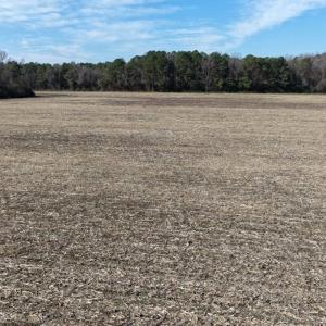 Photo #24 of Off Euray Moore Road (Lot 2), Warsaw, NC 10.1 acres