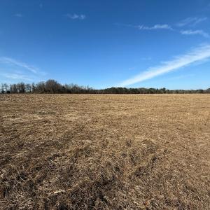 Photo #25 of Off Euray Moore Road (Lot 2), Warsaw, NC 10.1 acres