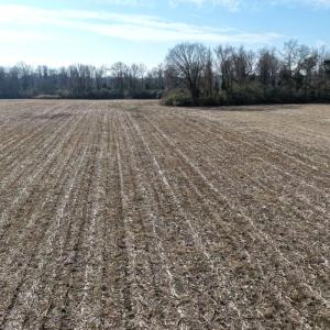 Photo #27 of Off Euray Moore Road (Lot 2), Warsaw, NC 10.1 acres