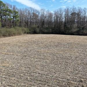 Photo #30 of Off Euray Moore Road (Lot 2), Warsaw, NC 10.1 acres